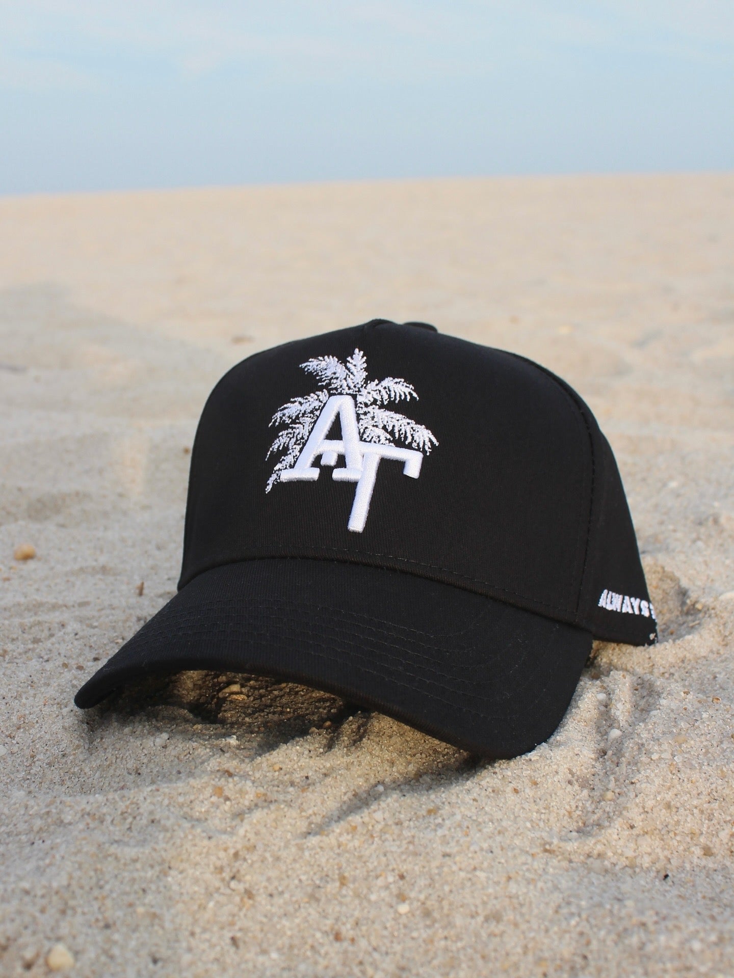 Palm Tree | Everyday Black Hat