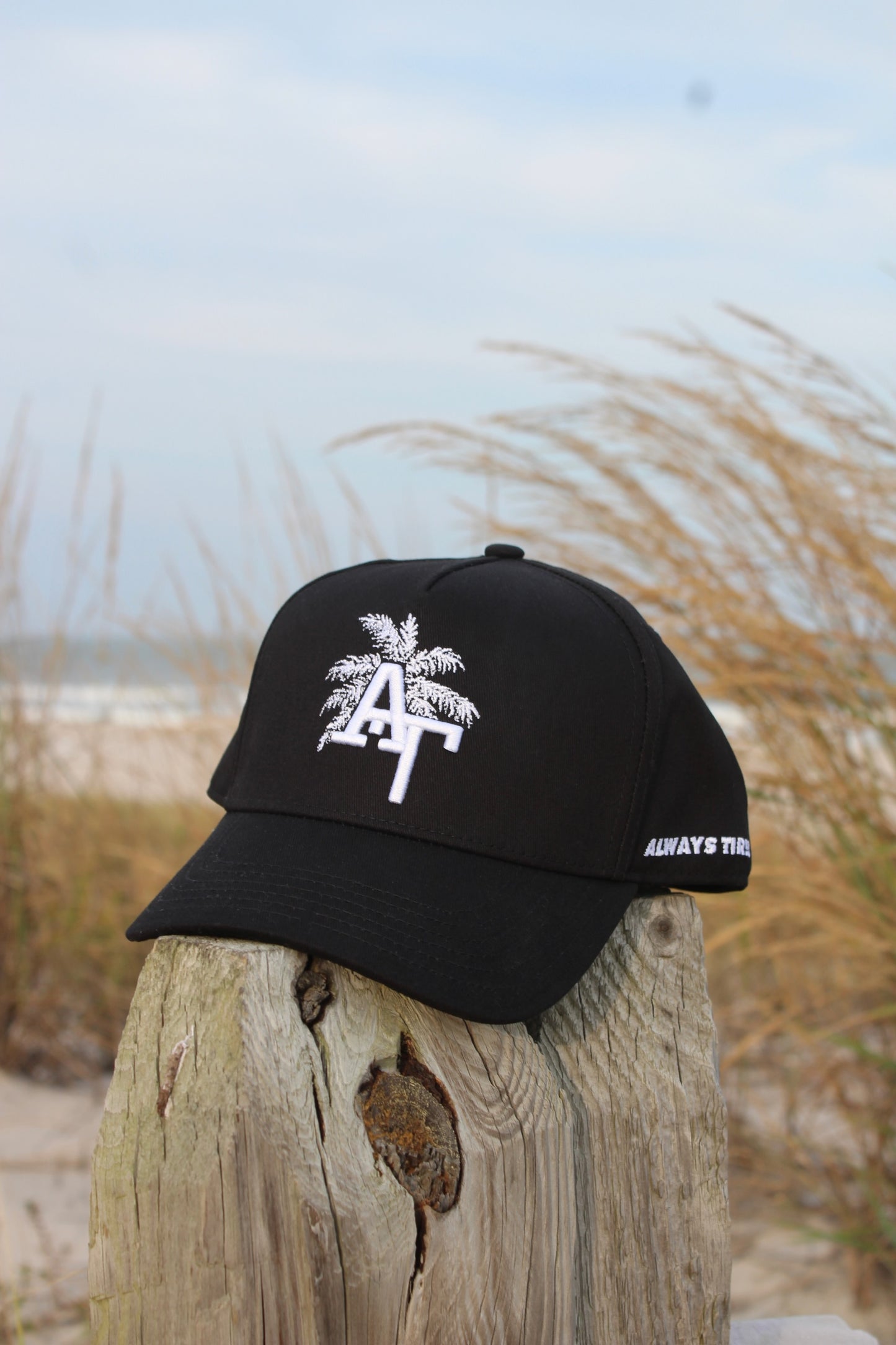 Palm Tree | Everyday Black Hat