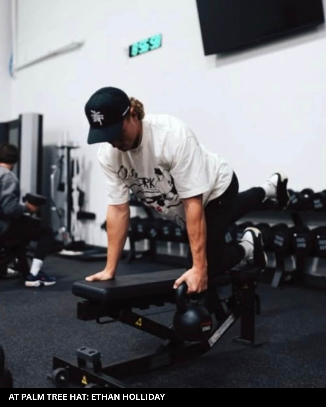 Palm Tree | Everyday Black Hat