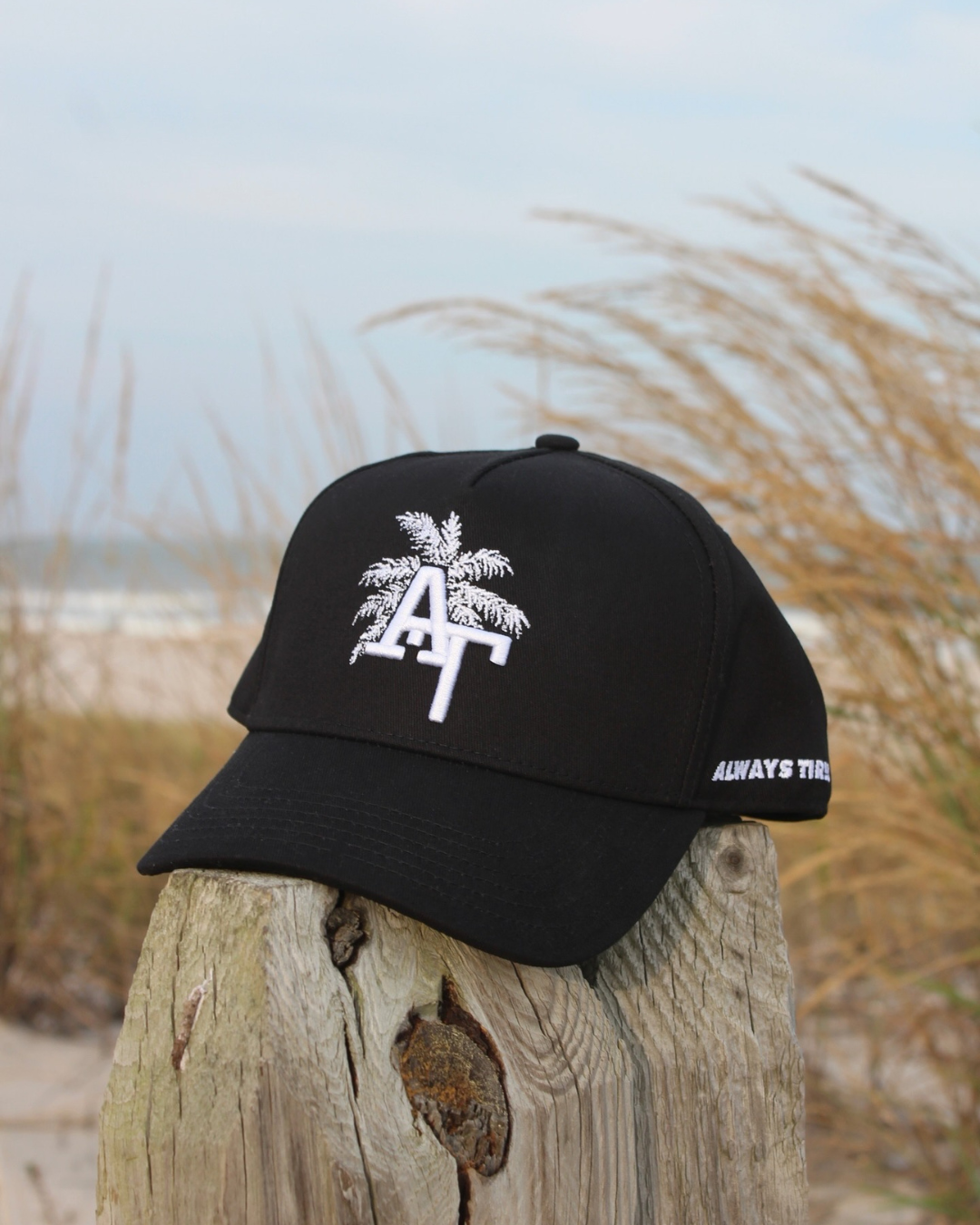 Palm Tree | Everyday Black Hat